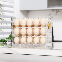 Organizator pentru 30 oua...